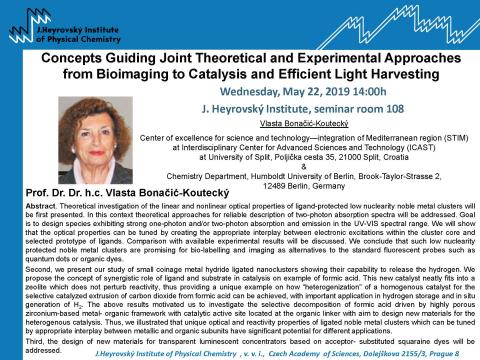 Concepts Guiding Joint Theoretical and Experimental Approaches from Bioimaging to Catalysis and Efficient Light Harvesting